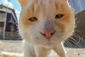 表情包大全｜在么？出来打钱图片