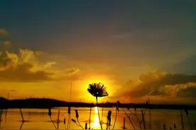 「诗词鉴赏」才有斜阳景更佳，古诗词里的夕照，夕阳无限好图片