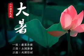 诗词赏读｜当代咏荷诗词 24 首（一）图片