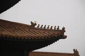 故宫屋顶为何没有鸟屎？专家道破玄机，真佩服古人的智慧图片