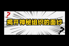 揭开神秘组织的面纱图片