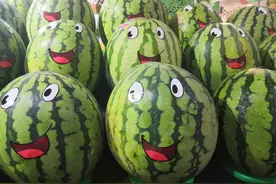 涨知识啦，为啥叫美都西瓜，为什么这么贵图片