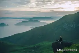 水至清则无鱼，人至察则无徒，做人的艺术你懂吗？图片