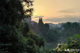 添加了一个小神器，从此晨跑拍照两不误图片