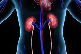 医生，“尿毒症”能治好吗？图片