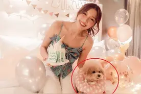 郭嘉文真是富贵命：生日派对暗藏玄机，连宠物狗都被网友羡慕图片