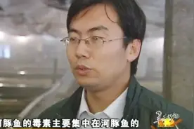 农村大叔揭秘：养殖河豚的核心技术，这样养才没有毒！视频封面