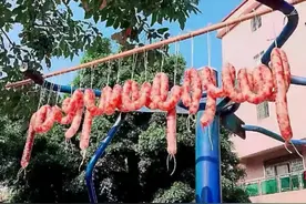 为了晒腊味，大家都拼了图片