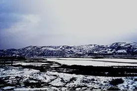 我爱你，塞北的雪图片