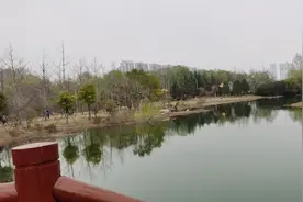 今天大姑子打电话让我们去她家吃饭图片