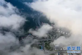 沿着高速看中国丨荆山深处辟出致富路图片