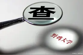 辽宁7所“野鸡大学”，学历如同废纸，被人民日报曝光，慎报图片