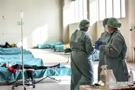 新冠病毒到底来自哪？新冠病毒乃自然进化产物，或有两种起源图片