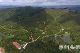 “地道南药惠州种植”调研首站走进博罗图片