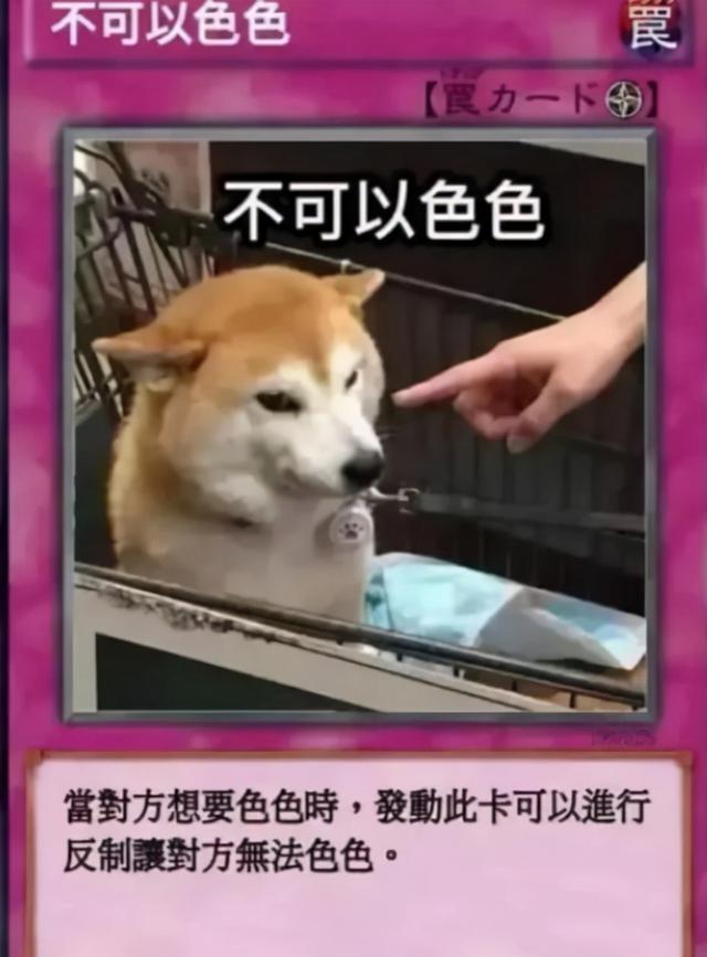 ��������Ҳ�ھ����µĲƸ������ǡ����ء�+����˿��