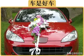 10个修理工，有11个说法系车是好车，但买法系车的人为什么这么少图片
