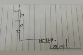 葡萄弱树调理图片