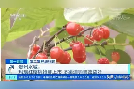 发耳的玛瑙红樱桃上了央视，实力霸屏一分钟！馋哭了全国人民图片