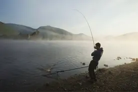 鱼层变化必有原因！老钓手教你专治鱼离底，鱼获轻松翻一翻图片