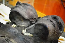 双头巨人木乃伊，据说生前与西班牙殖民者激烈搏斗，是食人魔吗？图片