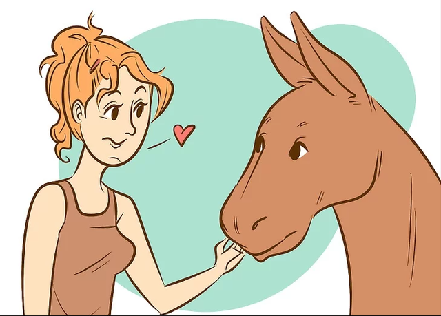 牵着不走，打着倒退，如何科学地驯服一头犟驴？