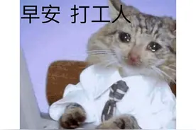 Steam又一沙雕爆款？在线玩家已破10万，超过《糖豆人》图片