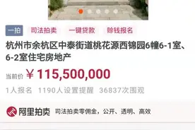 杭州“最贵法拍房”1.16亿元开拍，目前仅一人报名未出价图片