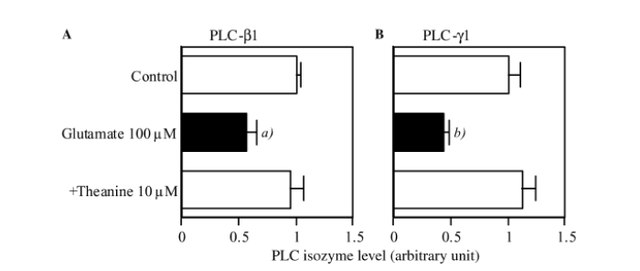 茶叶中的茶氨酸是什么，它的保健功效：抗血压、抗肿瘤、缓解抑郁症、增强记忆力