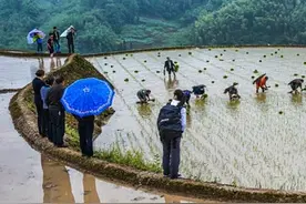 兵马未动 粮草先行图片