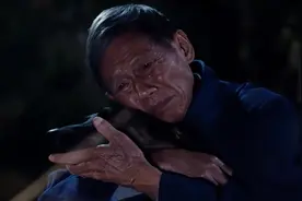 军犬落难，老头救它回家后，竟多次帮家人逃过劫难，戳心感人电影图片