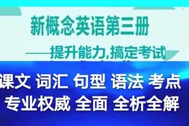 新概念英语第三册第30课语法课文句型词汇全析全解（二)图片