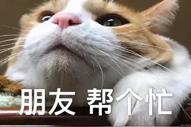 表情包｜其实我不太快乐图片