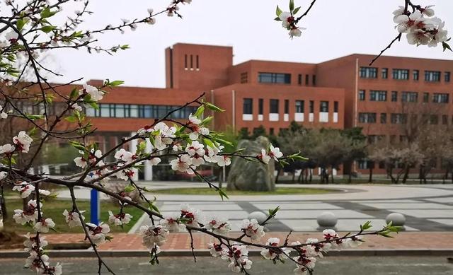 沈阳工业大学就业网, 沈阳工业大学博士就业怎么样(鞍山校地合作招聘