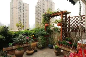 资金充足，你还会不会考虑顶楼和底楼图片