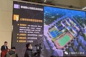 重磅好消息！上海再添一所宋庆龄九年一贯制学校图片