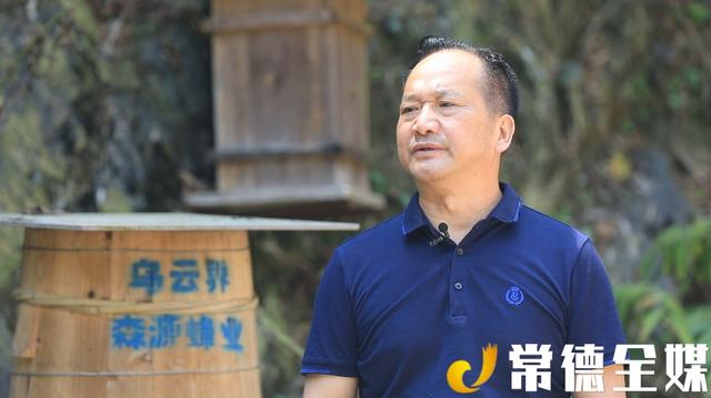桃源乌云界：白云生处养蜜蜂，年产值达70万元