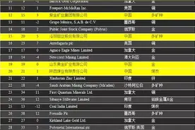 2021年全球矿业40强：8家中国矿企上榜，前四名被铁矿巨头垄断图片