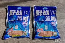 用“蓝鲫”钓不到鱼？可能买到了假货，教你如何辨别真伪图片
