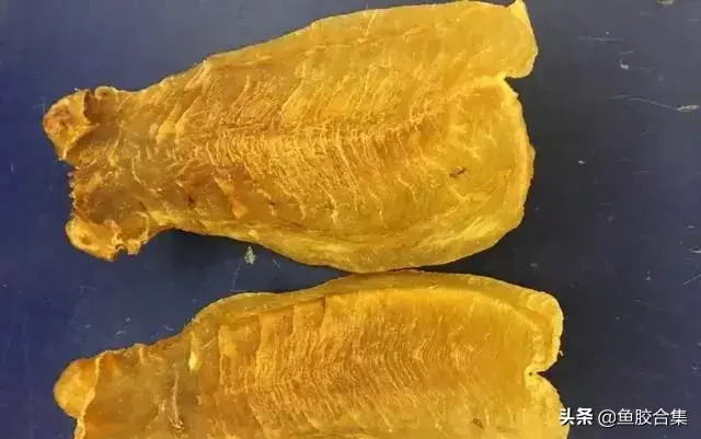 赤嘴鱼胶有几种 赤嘴鱼胶有几种品种