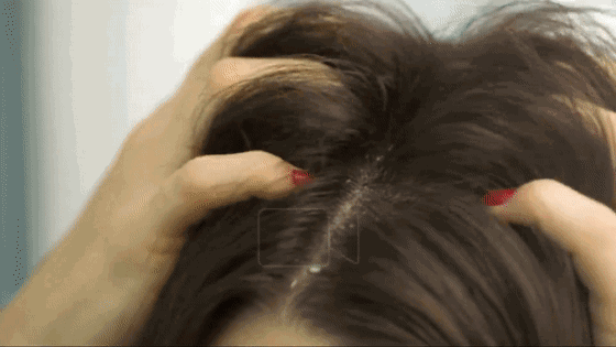 飘柔、海飞丝“无人问津”，国货第一洗发水出现，蓬松控油去分叉