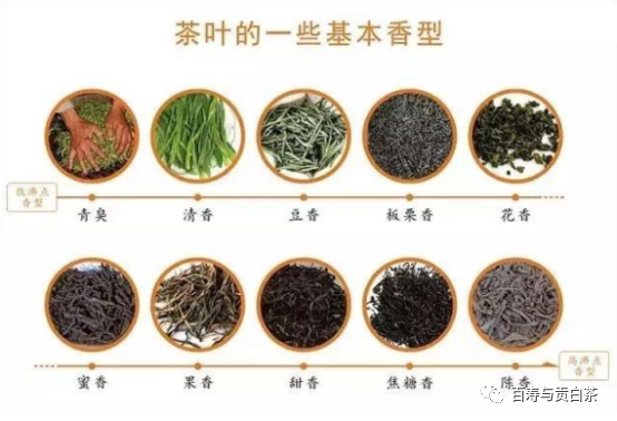 茶叶中的芳香物质，一万字详细讲解，带您走进茶香世界