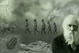 从5万年前的2个人发展到现在78亿人，地球上共出现过多少人？图片