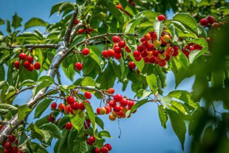 妯辨閲囧悗绠″緱濂?鏉ュ勾鑵板寘榧撳緱鍦? onerror=