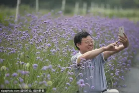 花海里的爸爸，太帅了！父亲节带爸爸去这里，朋友圈C位出道~图片
