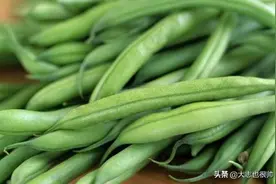 又到了吃四季豆的季节，一份简单的四季豆做法图片