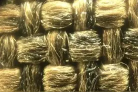 看子孙，并不是这个手机显微镜的全部功能……图片