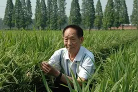 江西北部一县，置县超过千年，还是“杂交水稻之父”袁隆平故里图片