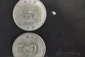 民国钱币后边的故事（三）图片