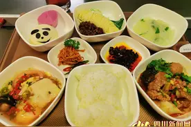 「天府国际机场试飞」记者体验③：川航试飞纪念“熊猫餐”上菜（视频）图片