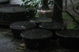 独自莫凭栏，无限江山，别时容易见时难图片